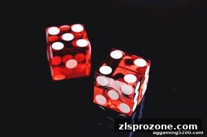AG真人 zlsprozone